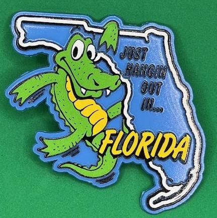 Alligator Just Hangin Out in Florida Collectible Souvenir Fridge Magnet