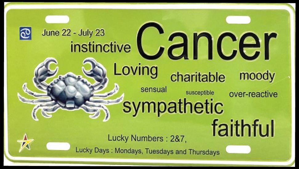 Cancer Aluminum Embossed License Tag Size: 12"x6"