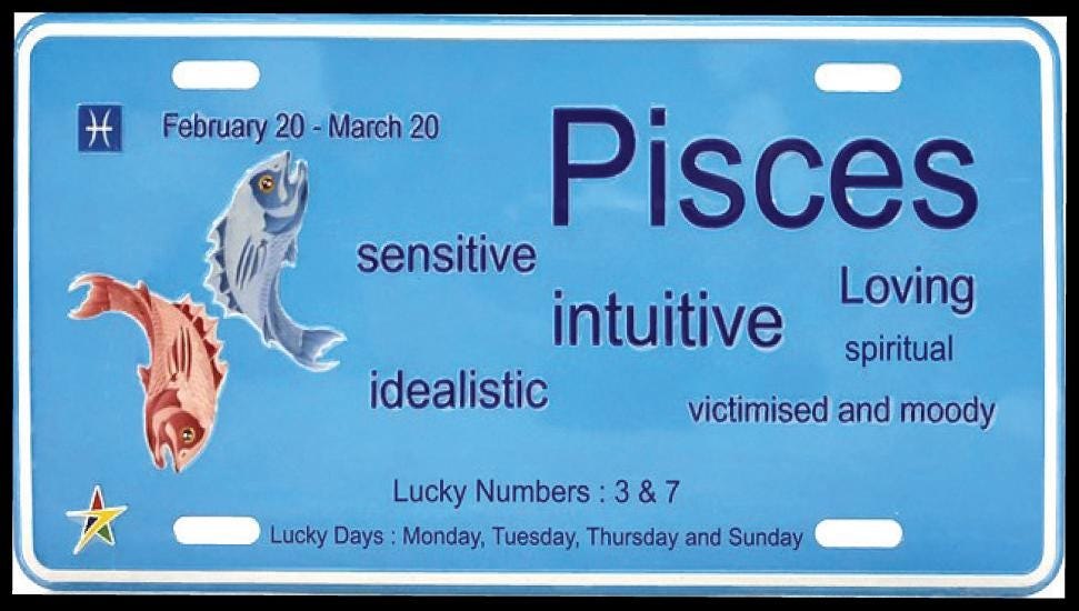 Pisces Aluminum Embossed License Tag Size: 12"x6"