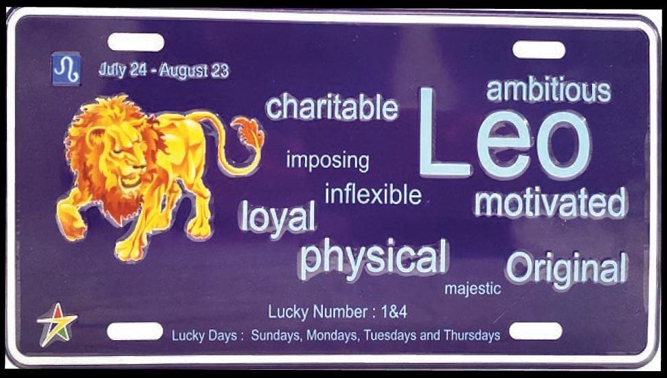 Leo Aluminum Embossed License Plate Tag Zodiac Sign Size: 12"x6"