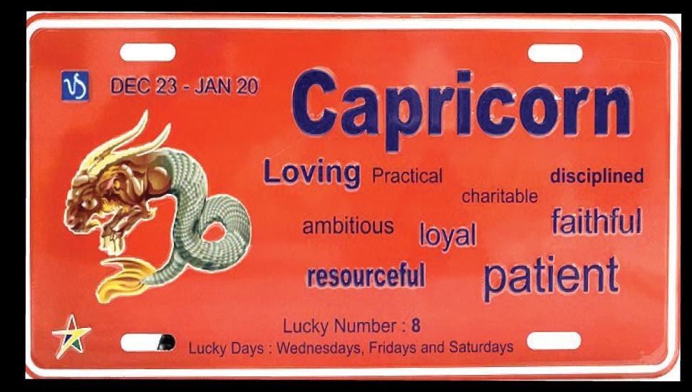 Capricorn Aluminum Embossed License Plate Tag Zodiac Signs Size: 12"x6"