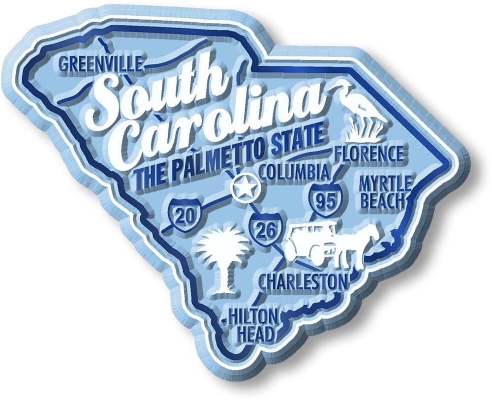 South Carolina - SC Premium State Magnet Collectible Souvenir Made in the USA