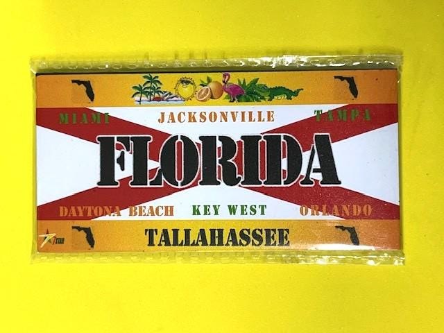 Florida - FL State Rectangular Magnet Souvenir Made in the USA