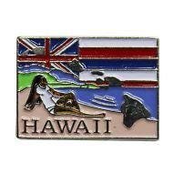 HAWAII - HI Hat Pin Colorful attractive.