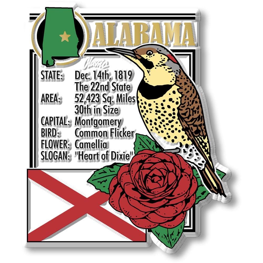ALABAMA - AL Montage State Magnet – Collectible Souvenirs & Gifts Made in the USA