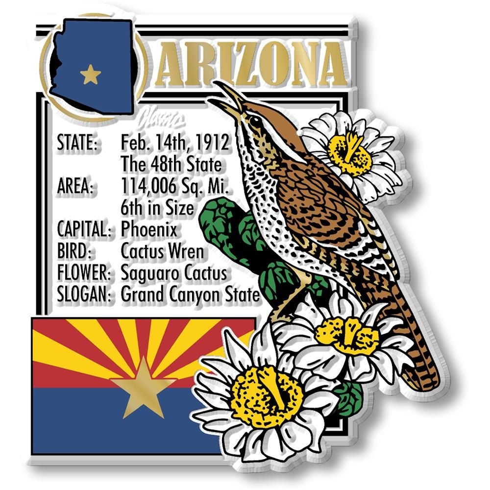 ARIZONA - AZ Montage State Magnet – Collectible Souvenirs & Gifts Made in the USA