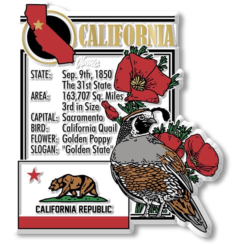 CALIFORNIA - CA Montage State Magnet – Collectible Souvenirs & Gifts Made in the USA
