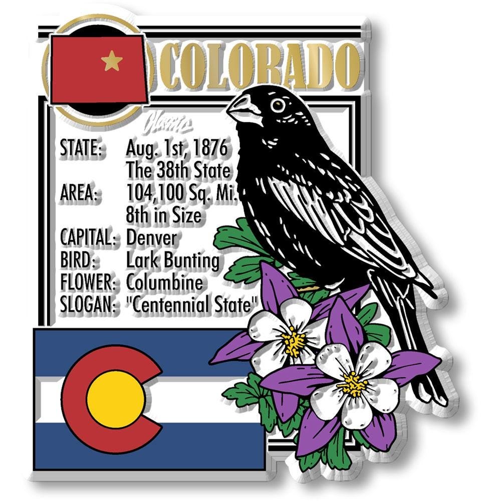 COLORADO - CO Montage State Magnet – Collectible Souvenirs & Gifts Made in the USA