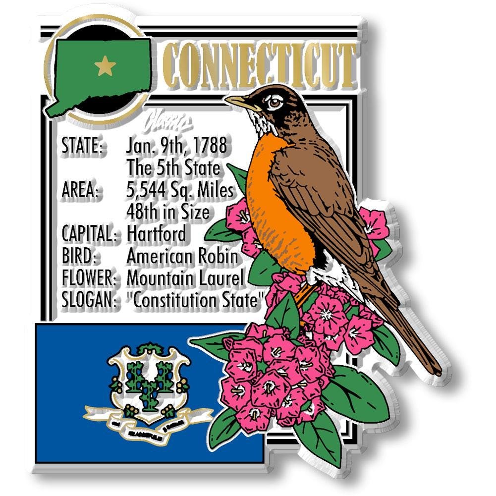 CONNECTICUT - CT Montage State Magnet – Collectible Souvenirs & Gifts Made in the USA
