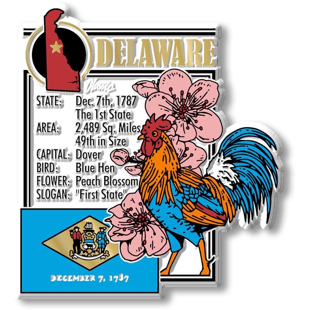 DELAWARE - DE Montage State Magnet – Collectible Souvenirs & Gifts Made in the USA