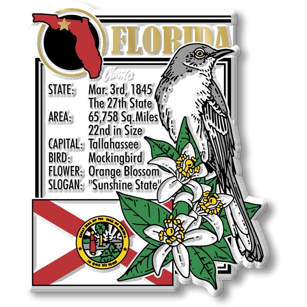 FLORIDA - FL Montage State Magnet – Collectible Souvenirs & Gifts Made in the USA