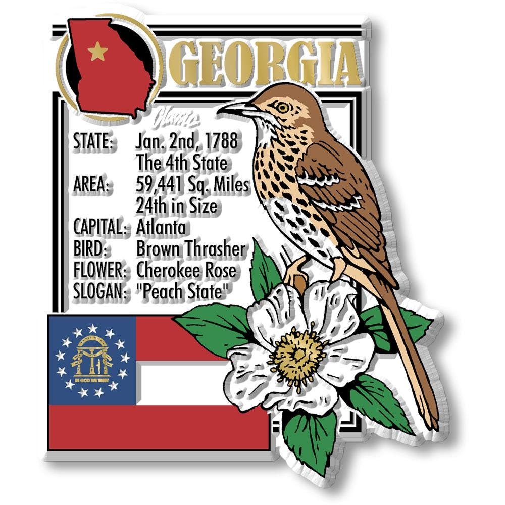 GEORGIA - GA Montage State Magnet – Collectible Souvenirs & Gifts Made in the USA