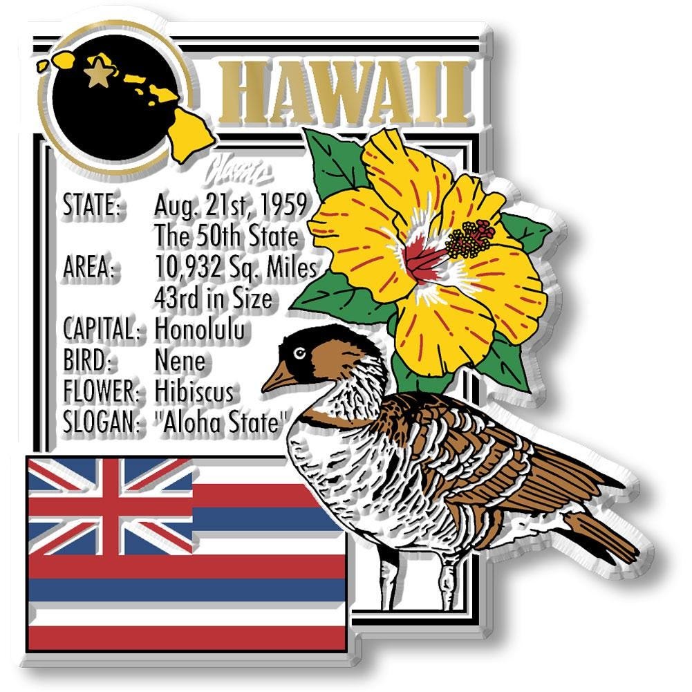 HAWAII - HI Montage State Magnet – Collectible Souvenirs & Gifts Made in the USA