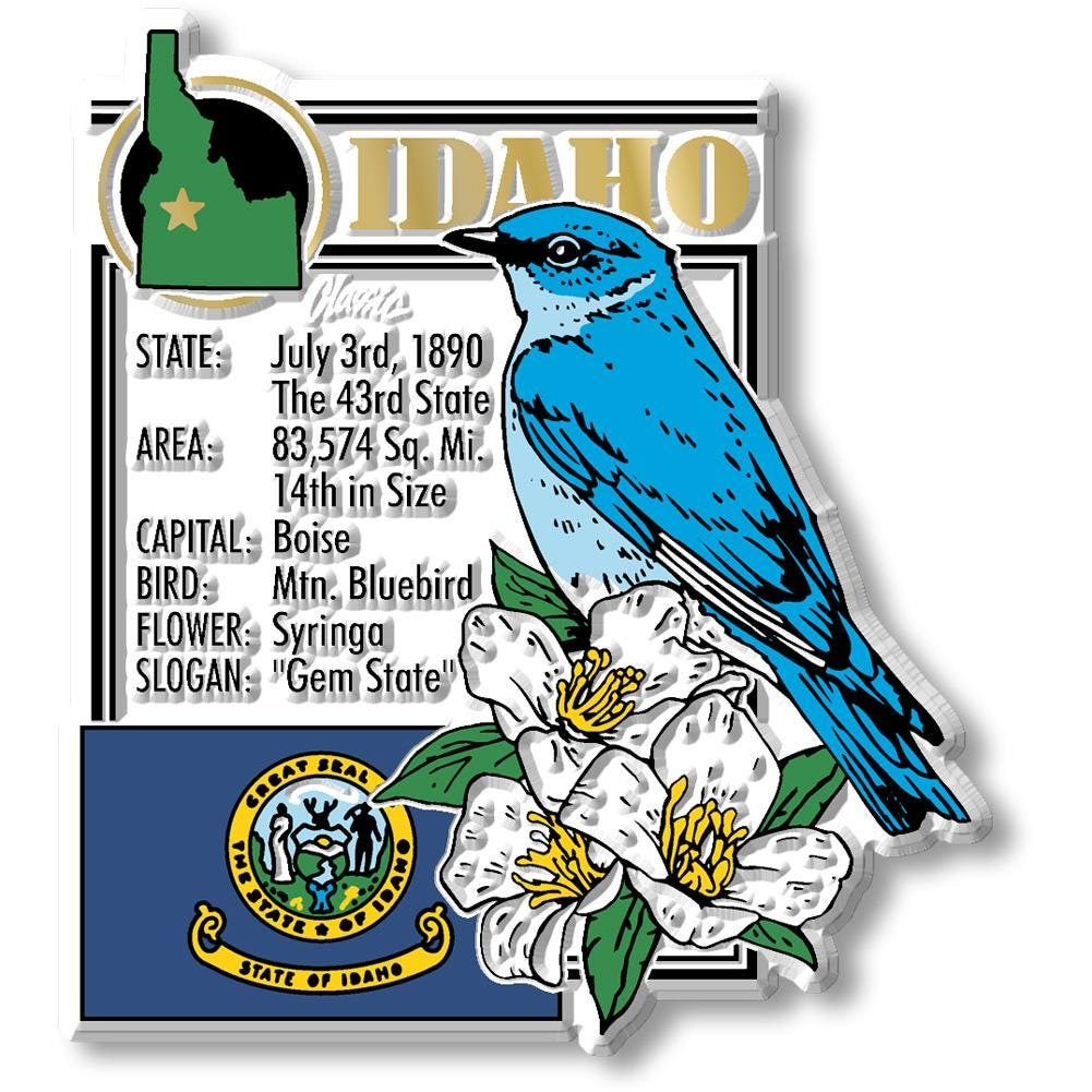 IDAHO - ID Montage State Magnet – Collectible Souvenirs & Gifts Made in the USA