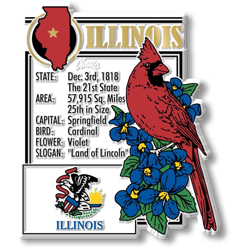 ILLINOIS - IL Montage State Magnet – Collectible Souvenirs & Gifts Made in the USA