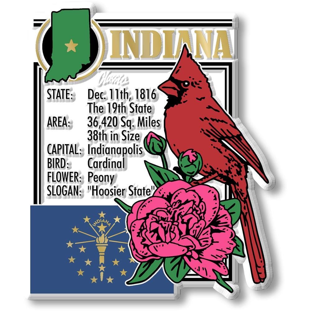 INDIANA - IN Montage State Magnet – Collectible Souvenirs & Gifts Made in the USA