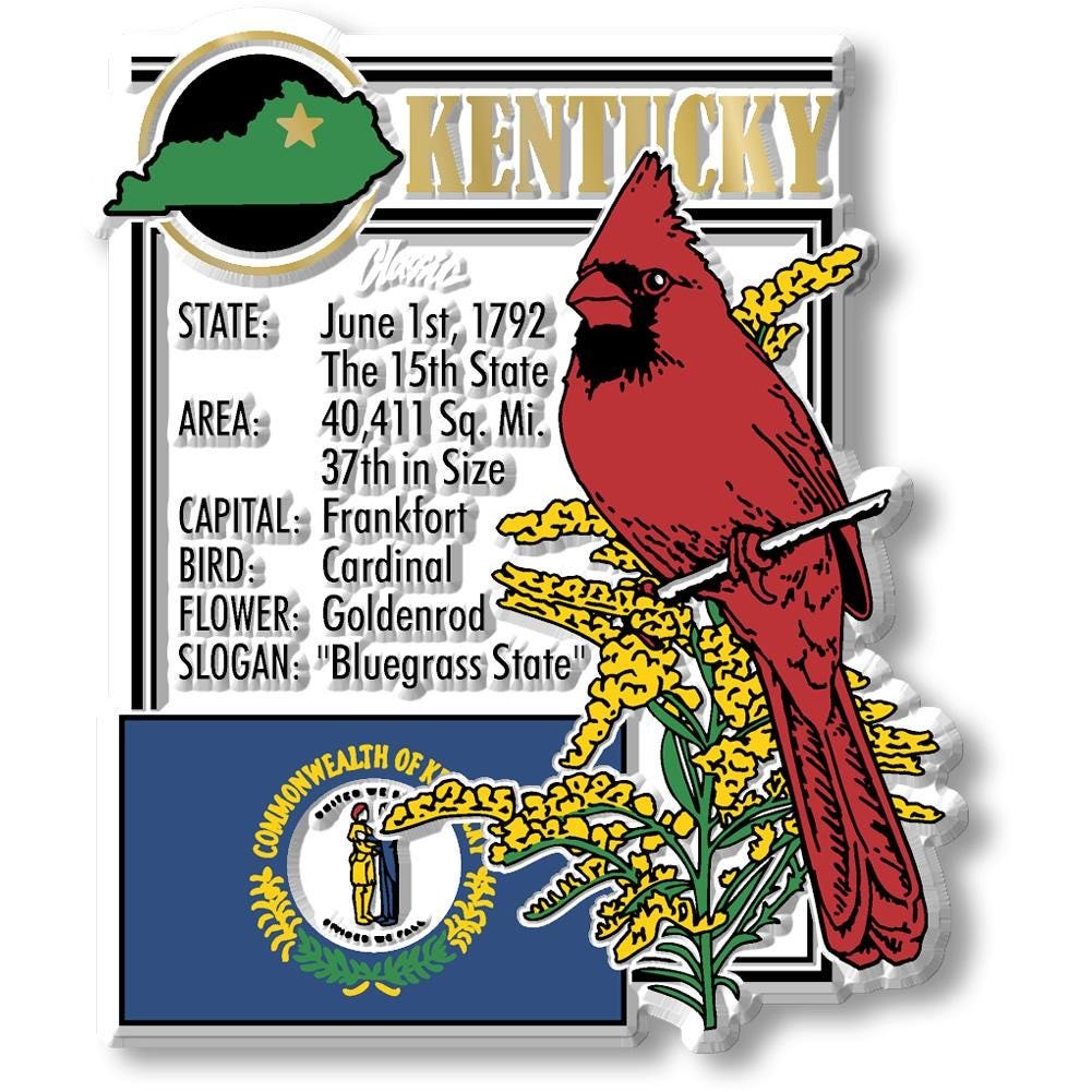 KENTUCKY - KY Montage State Magnet – Collectible Souvenirs & Gifts Made in the USA