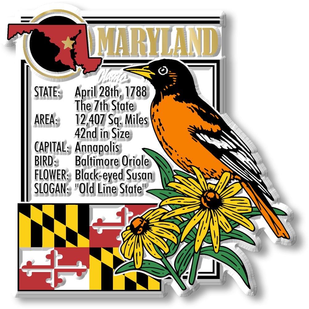 MARYLAND - MD Montage State Magnet – Collectible Souvenirs & Gifts Made in the USA