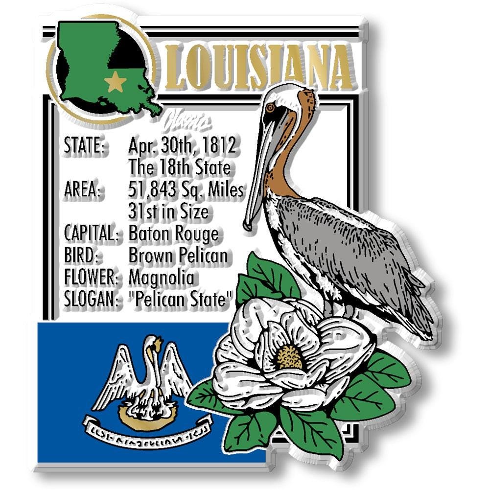 LOUISIANA - LA Montage State Magnet – Collectible Souvenirs & Gifts Made in the USA