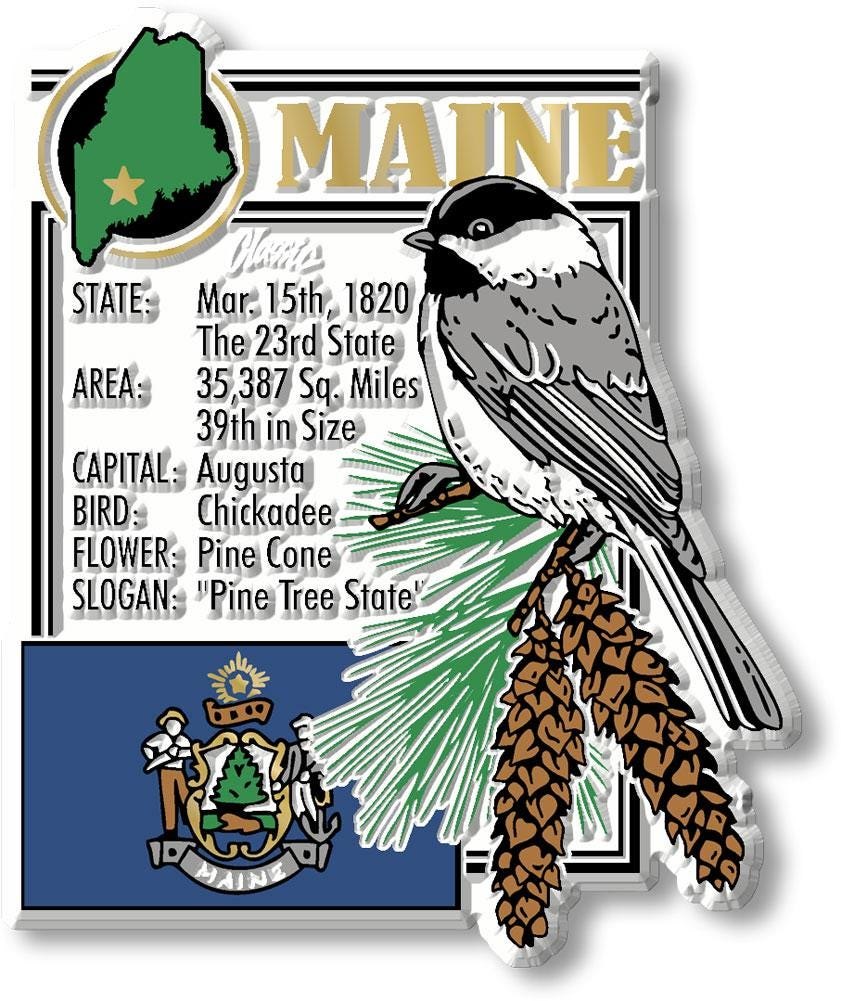 MAINE - ME Montage State Magnet – Collectible Souvenirs & Gifts Made in the USA