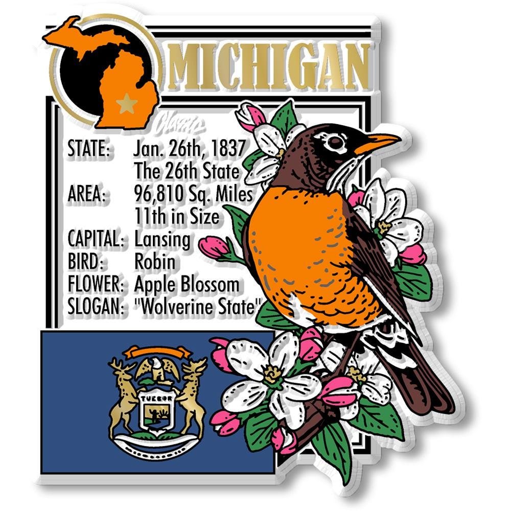 MICHIGAN - MI Montage State Magnet – Collectible Souvenirs & Gifts Made in the USA