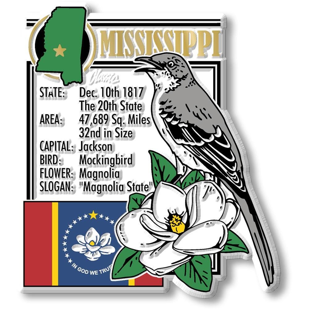 MISSISSIPPI - MS Montage State Magnet – Collectible Souvenirs & Gifts Made in the USA