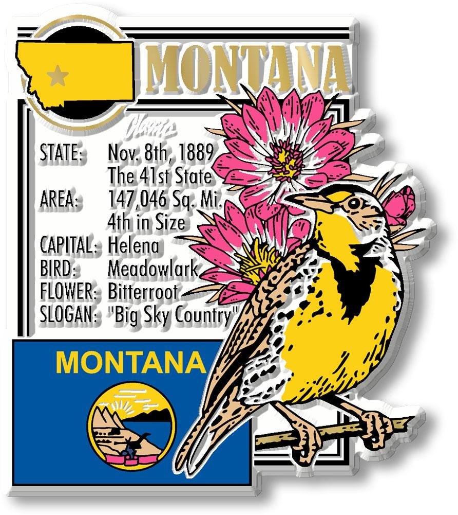 MONTANA - MT Montage State Magnet – Collectible Souvenirs & Gifts Made in the USA