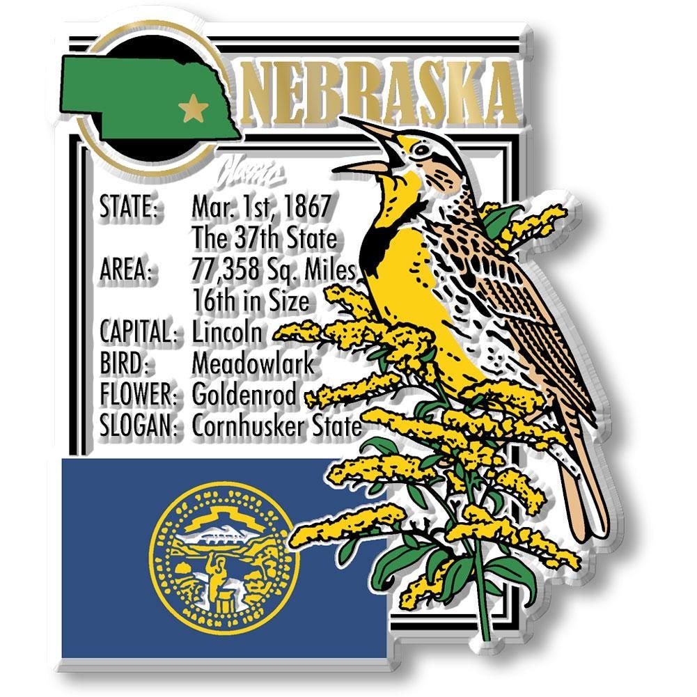 NEBRASKA - NE Montage State Magnet – Collectible Souvenirs & Gifts Made in the USA