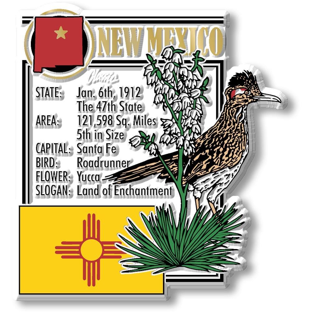 New Mexico - NM Montage State Magnet – Collectible Souvenirs & Gifts Made in the USA