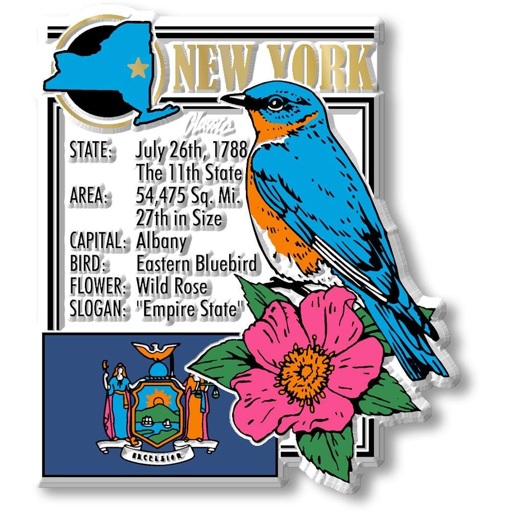 New York - NY Montage State Magnet – Collectible Souvenirs & Gifts Made in the USA