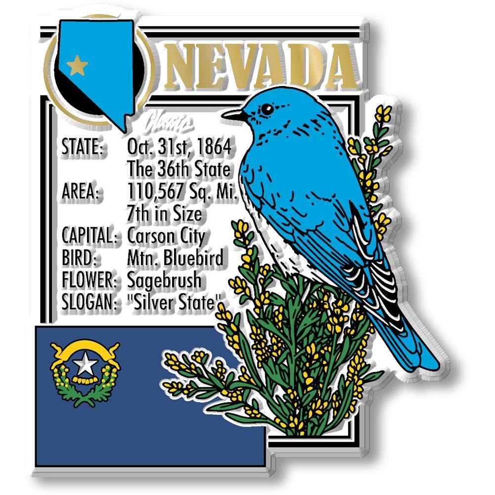 NEVADA - NV Montage State Magnet – Collectible Souvenirs & Gifts Made in the USA