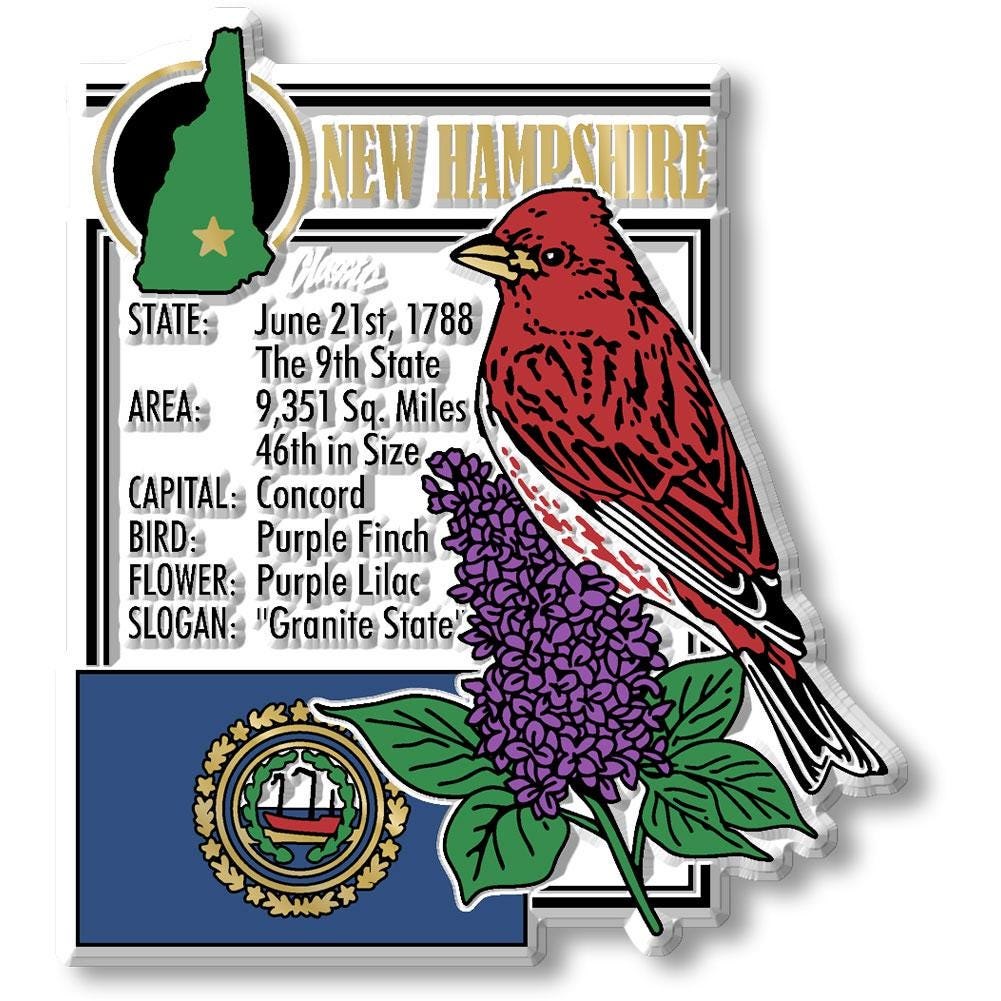 New Hampshire - NH Montage State Magnet – Collectible Souvenirs & Gifts Made in the USA