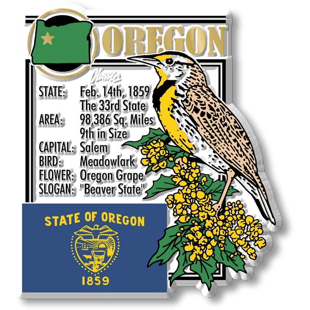 Oregon - OR Montage State Magnet – Collectible Souvenirs & Gifts Made in the USA