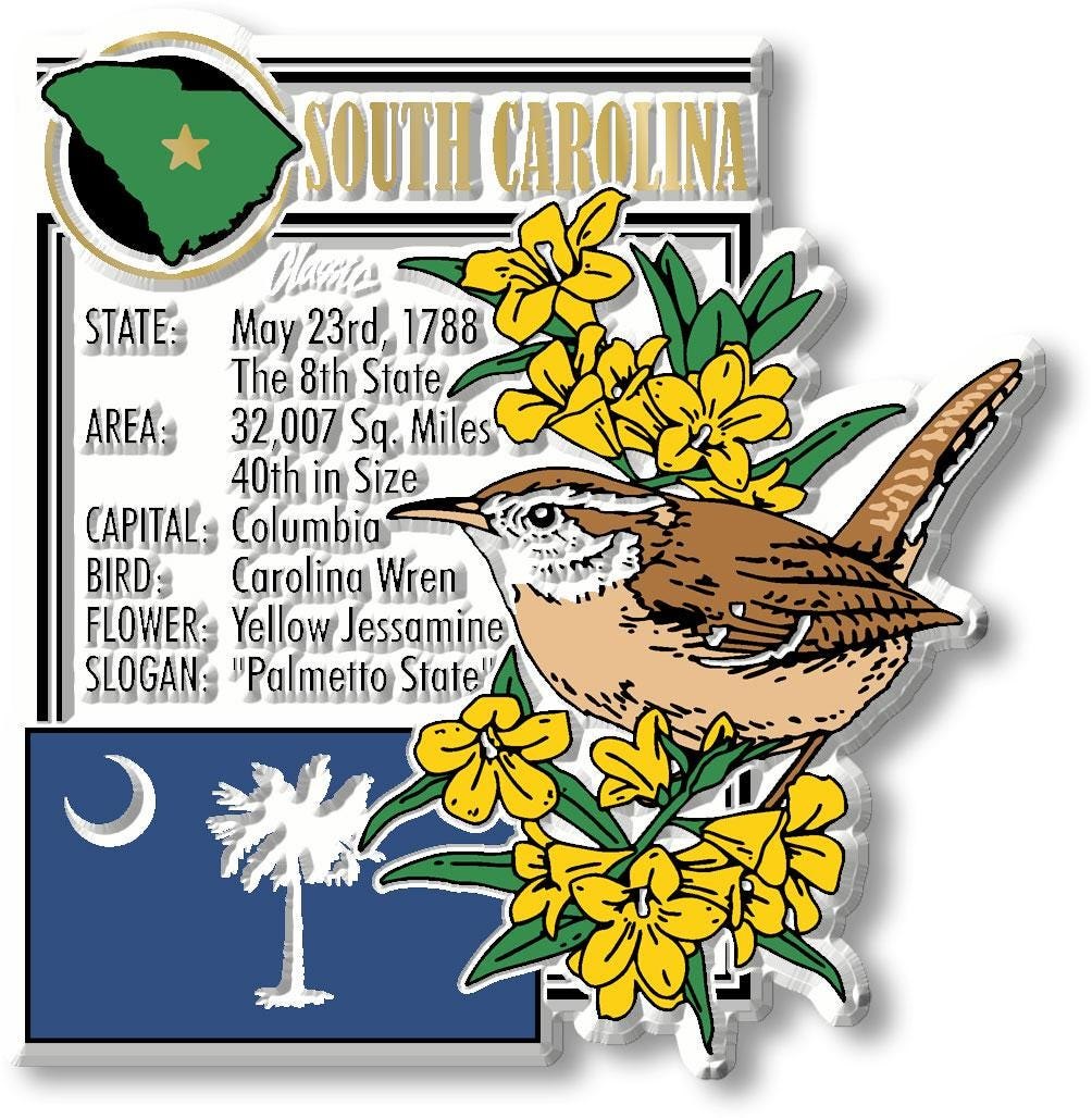 South Carolina - SC Montage State Magnet – Collectible Souvenirs & Gifts Made in the USA