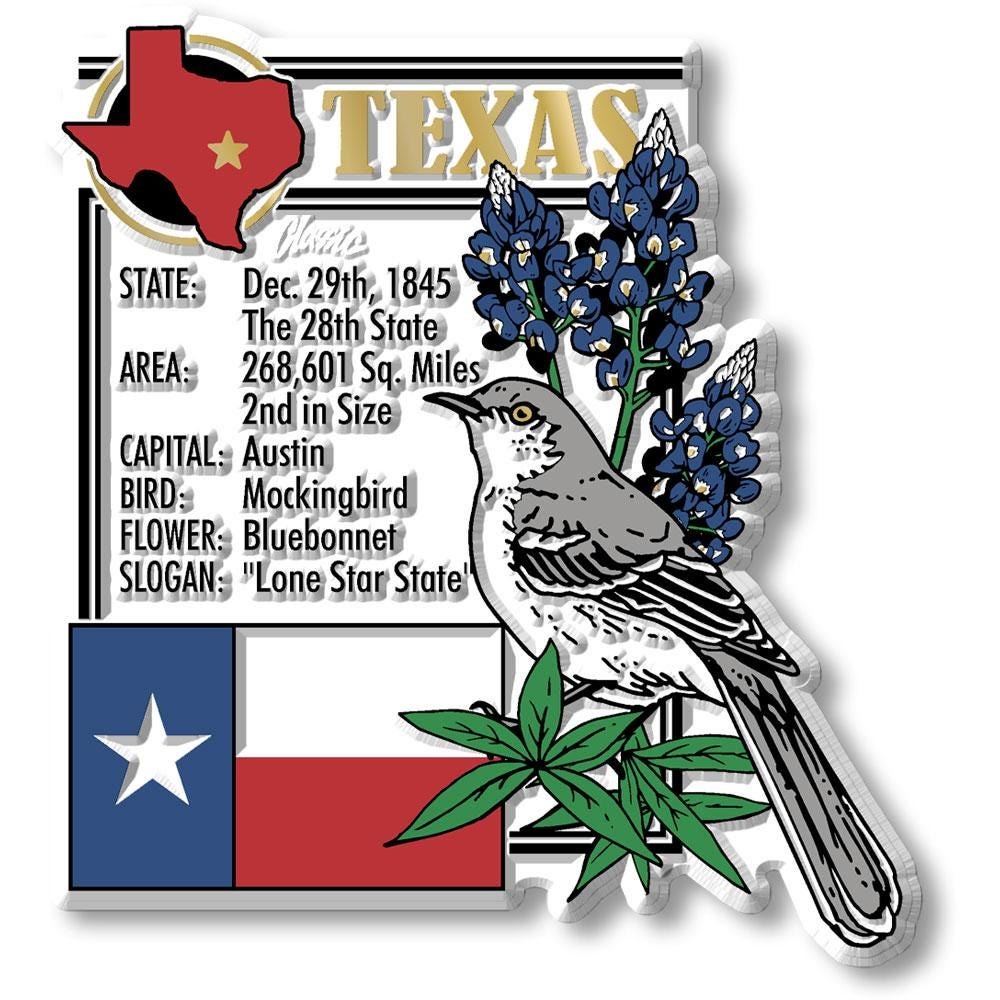 Texas - TX Montage State Magnet – Collectible Souvenirs & Gifts Made in the USA