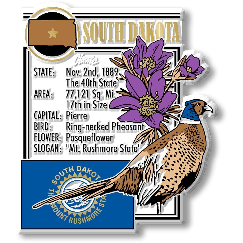 South Dakota - SD Montage State Magnet – Collectible Souvenirs & Gifts Made in the USA