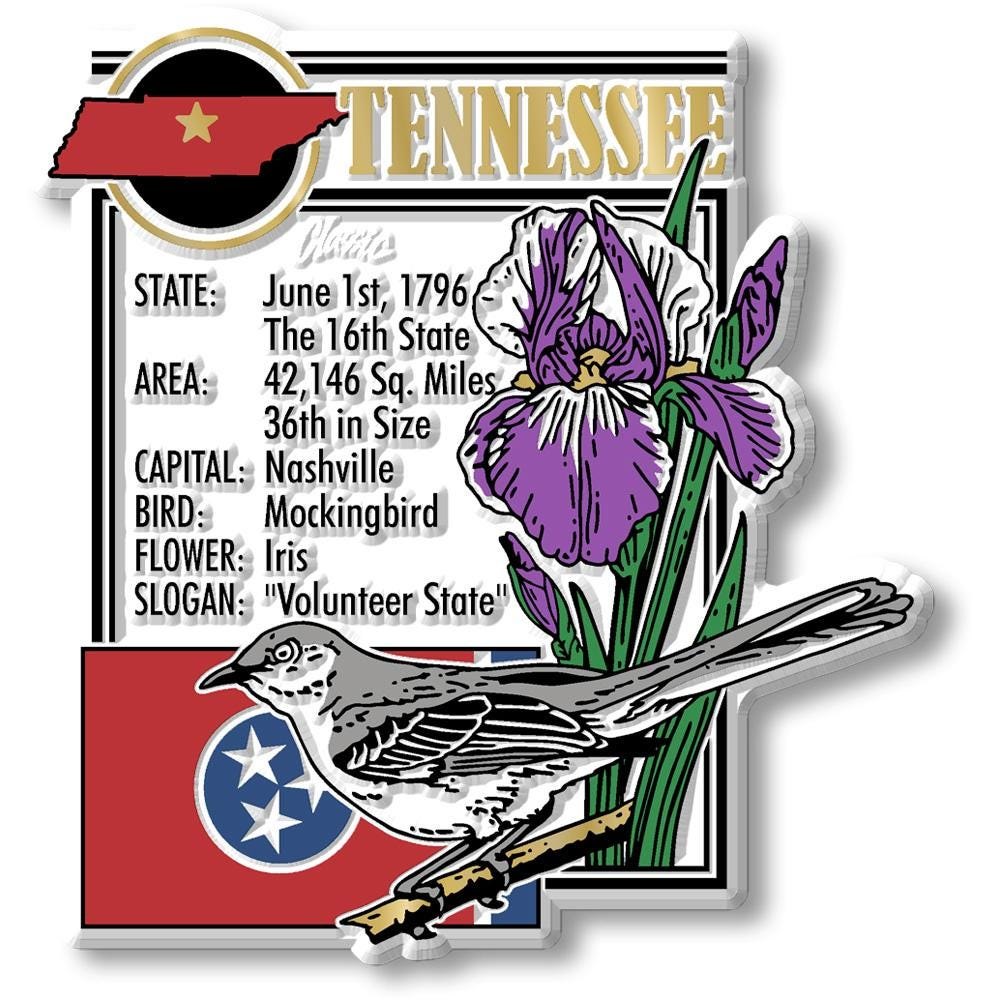 Tennessee - TN Montage State Magnet – Collectible Souvenirs & Gifts Made in the USA