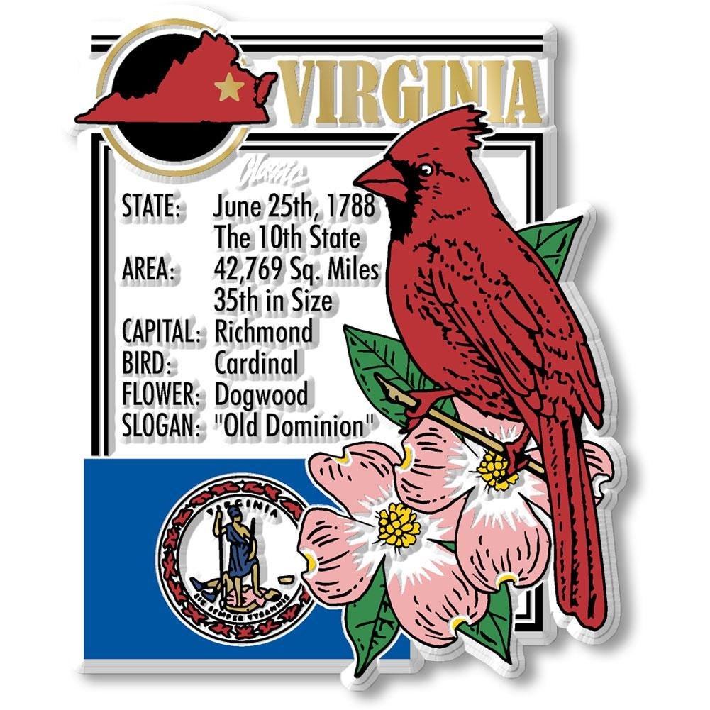 Virginia - VA Montage State Magnet – Collectible Souvenirs & Gifts Made in the USA