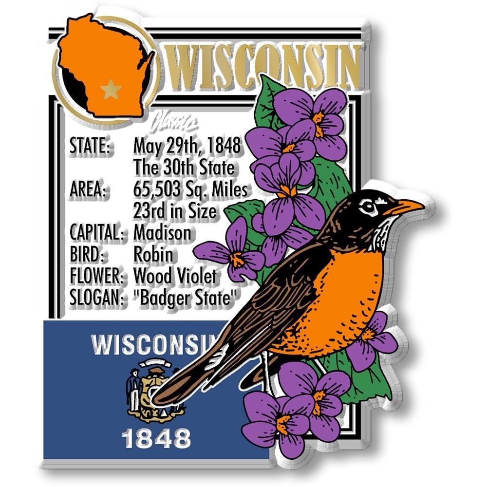 Wisconsin - WI Montage State Magnet – Collectible Souvenirs & Gifts Made in the USA