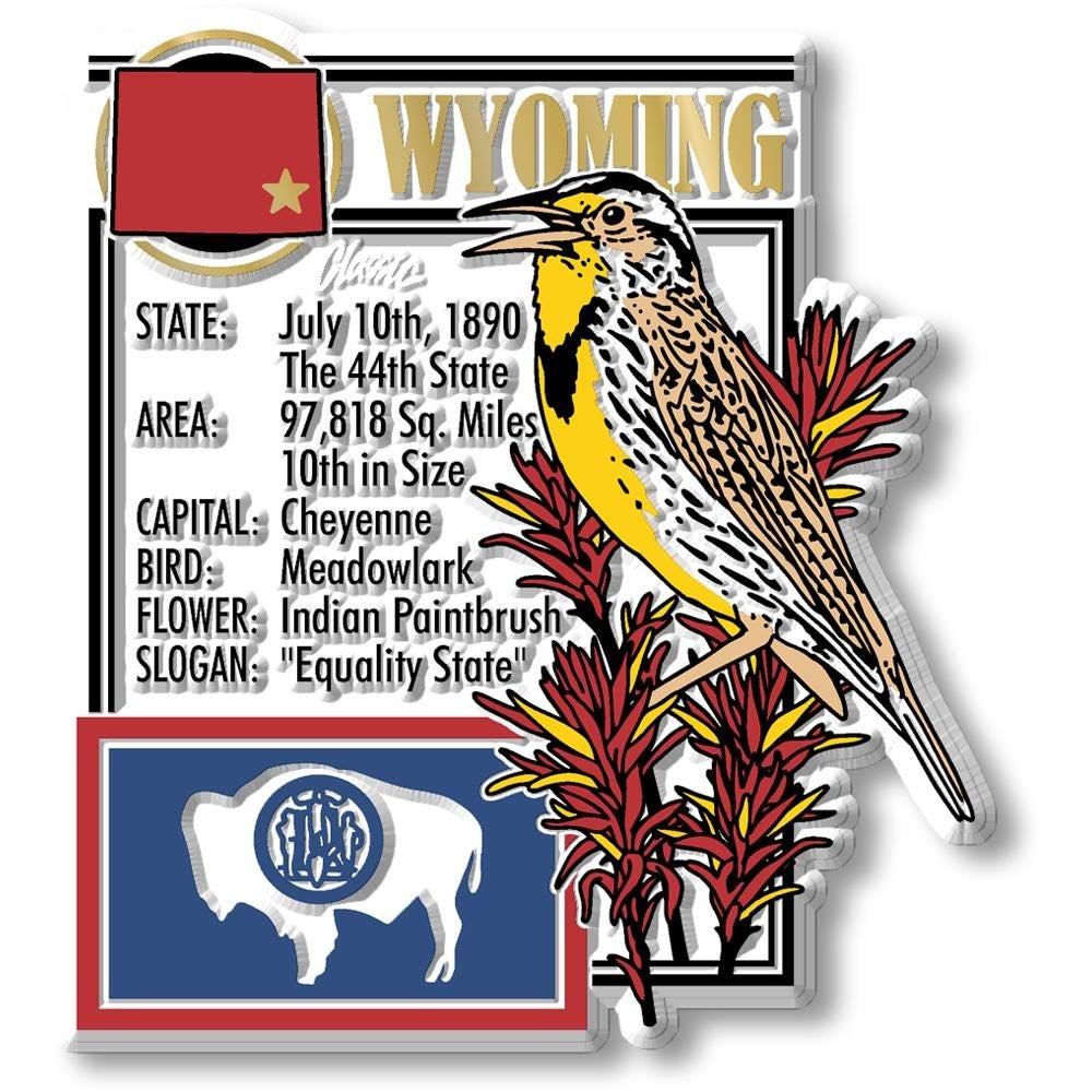 Wyoming - WY Montage State Magnet – Collectible Souvenirs & Gifts Made in the USA