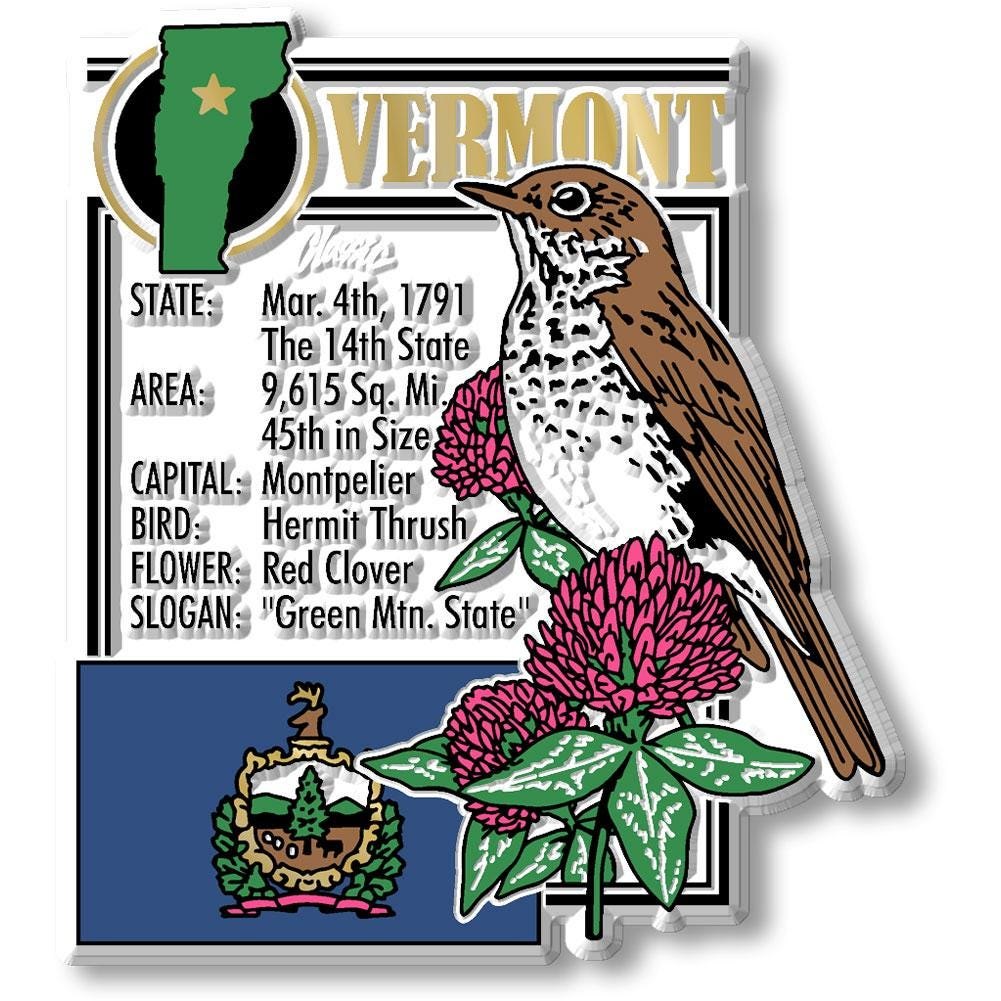 Vermont - VT Montage State Magnet – Collectible Souvenirs & Gifts Made in the USA