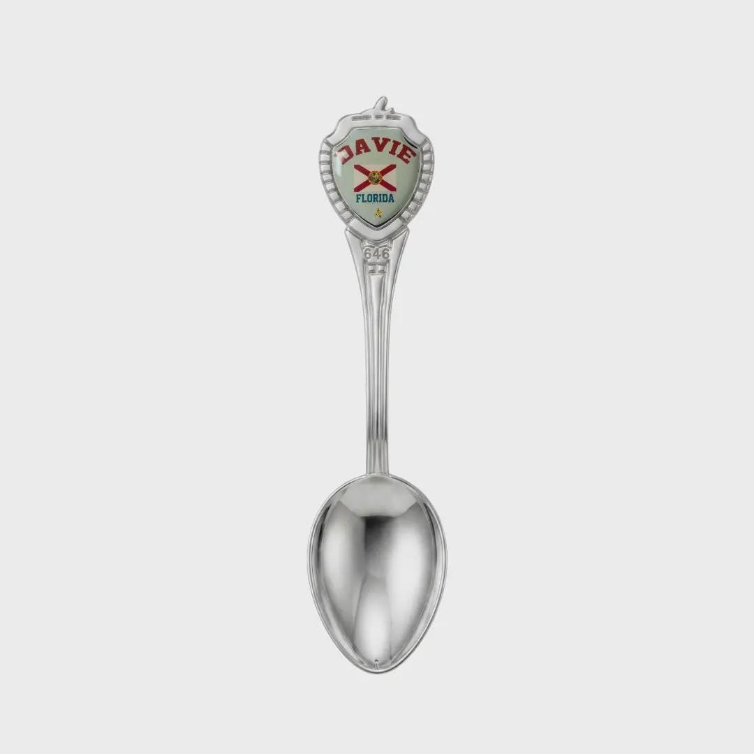 Davie Florida Mini Spoon Collectible Souvenir 3.4"
