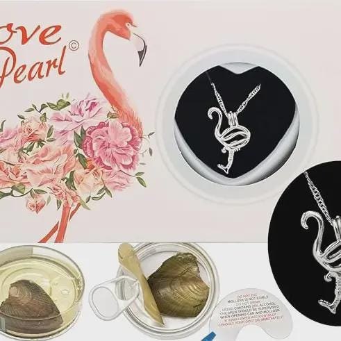 Flamingo Love Pearl Kit with Pendant Necklace