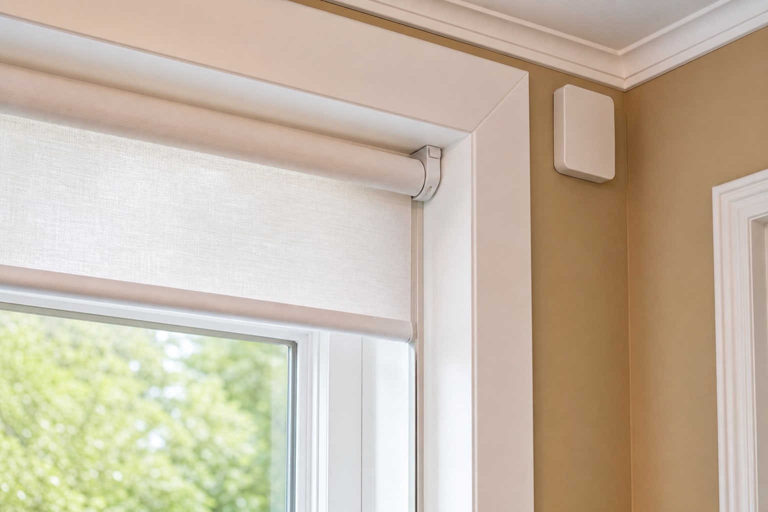 Motorized roller shade hardware installed neatly beside a finished window