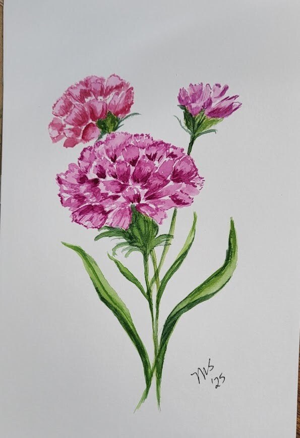 Carnations watercolor painting