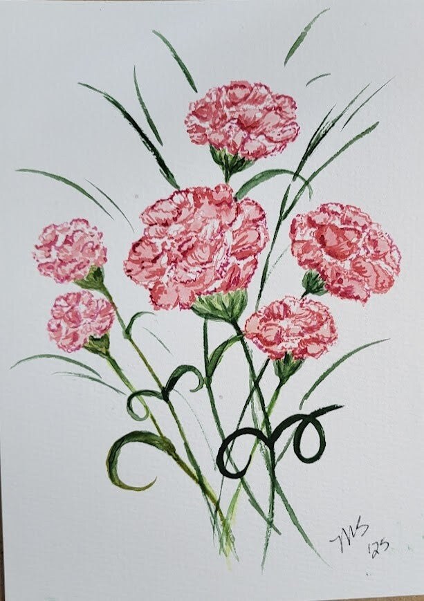 Pink carnations watercolor painting
