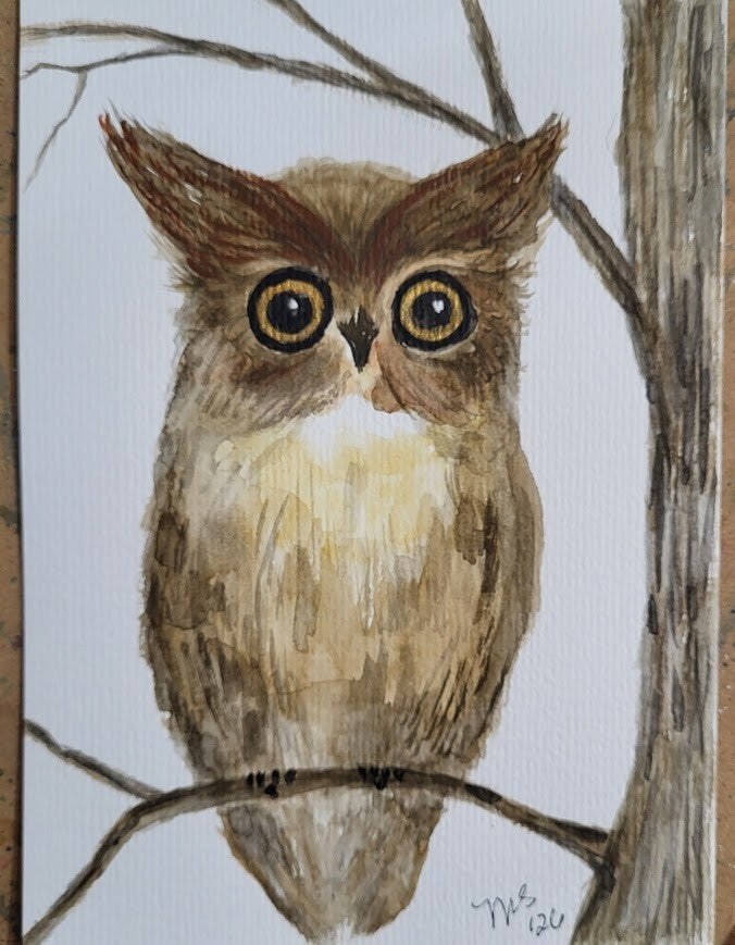Owl watercolor painting