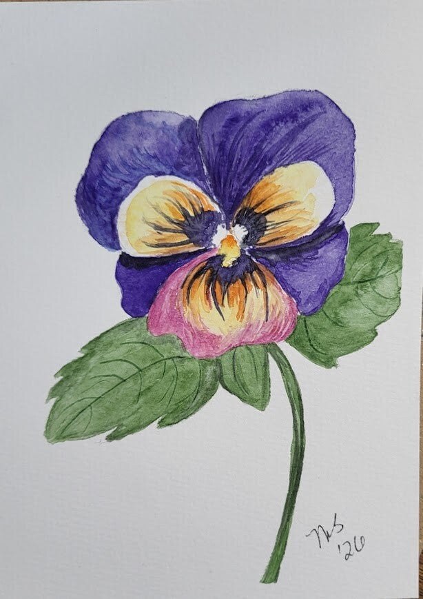 Pansy watercolor painting