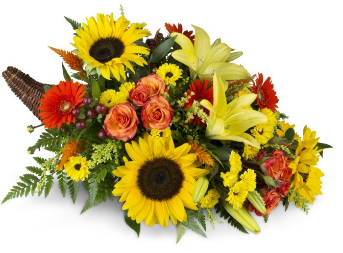 Giving Thanks Cornucopia™
