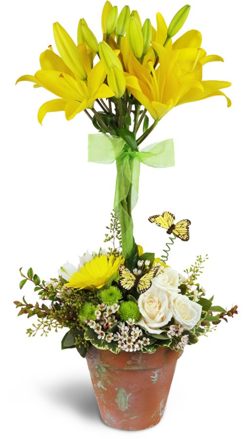 Happiness in Bloom™ Topiary